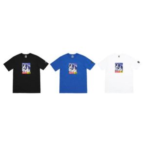 Supreme®/The North Face® Mountain T-Shirt