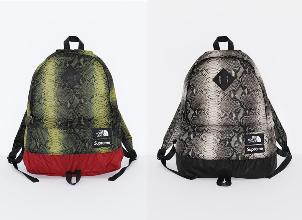 Supreme®/The North Face® Snakeskin Lightweight Day Pack