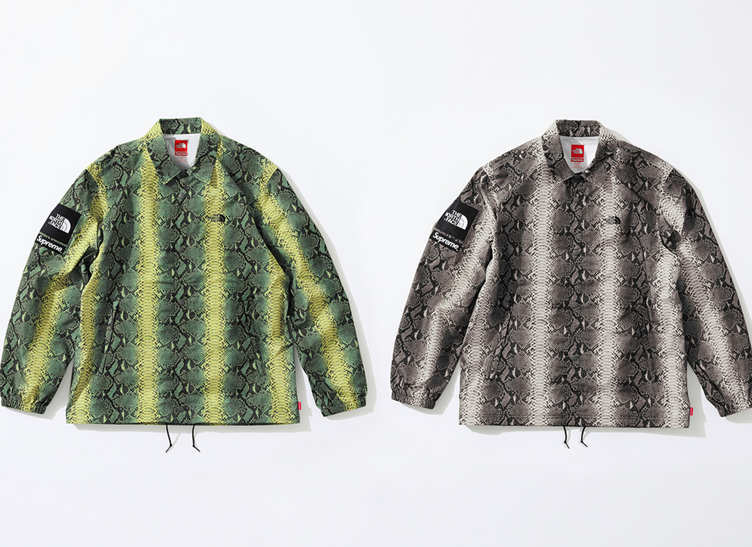 Supreme®/The North Face® Snakeskin Taped Seam Coaches Jacket